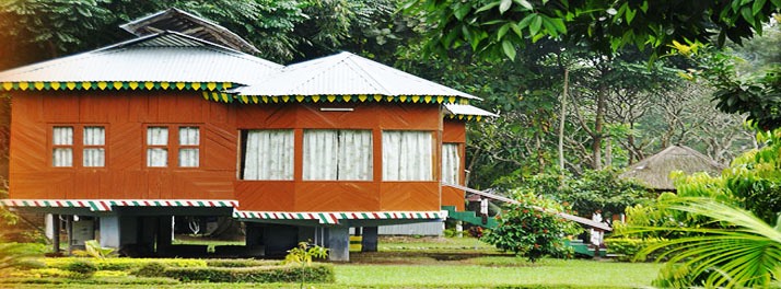 1849/Sun City - Lataguri 06.jpg